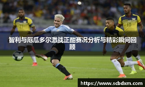智利与厄瓜多尔激战正酣赛况分析与精彩瞬间回顾
